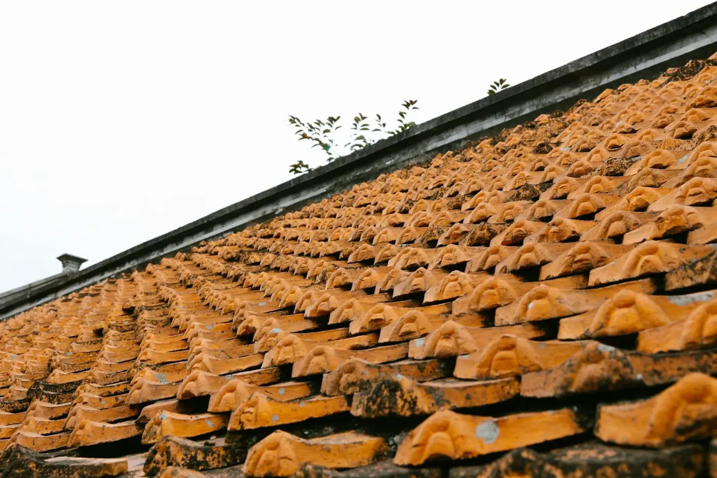 Détail du faîtage d'une toiture en tuiles